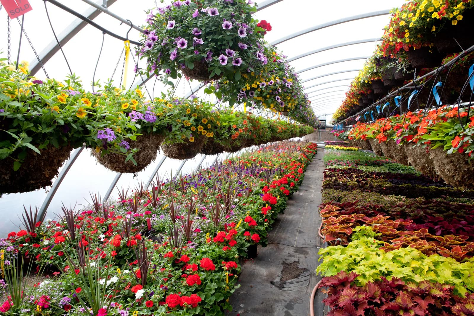 plant-nursery